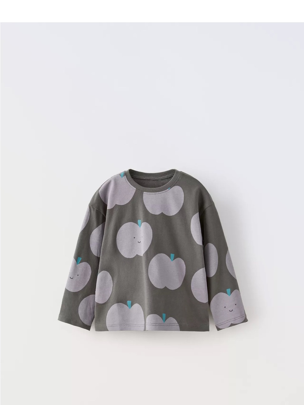 Zara grey  Long Sleeve Tee with Lavender Apple Print